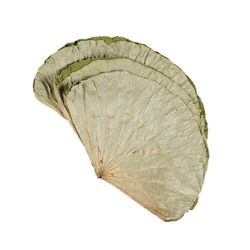 Hojas de Loto Secas 200grs