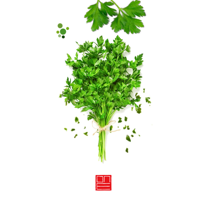 Cilantro