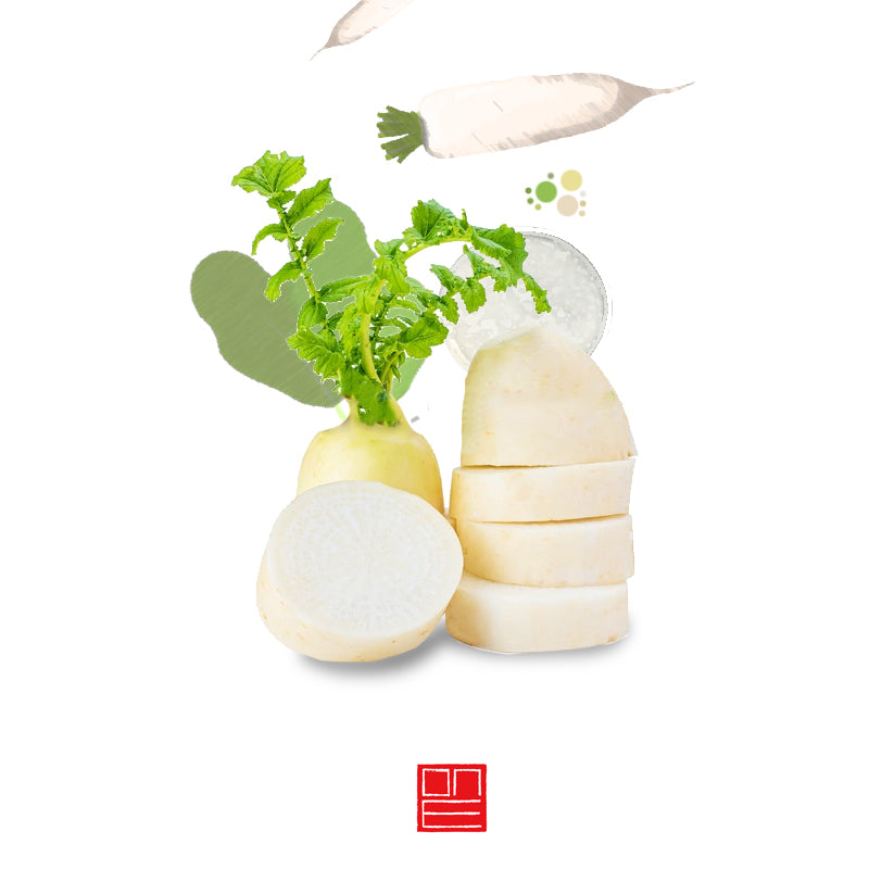 Daikon nabo rábano blanco