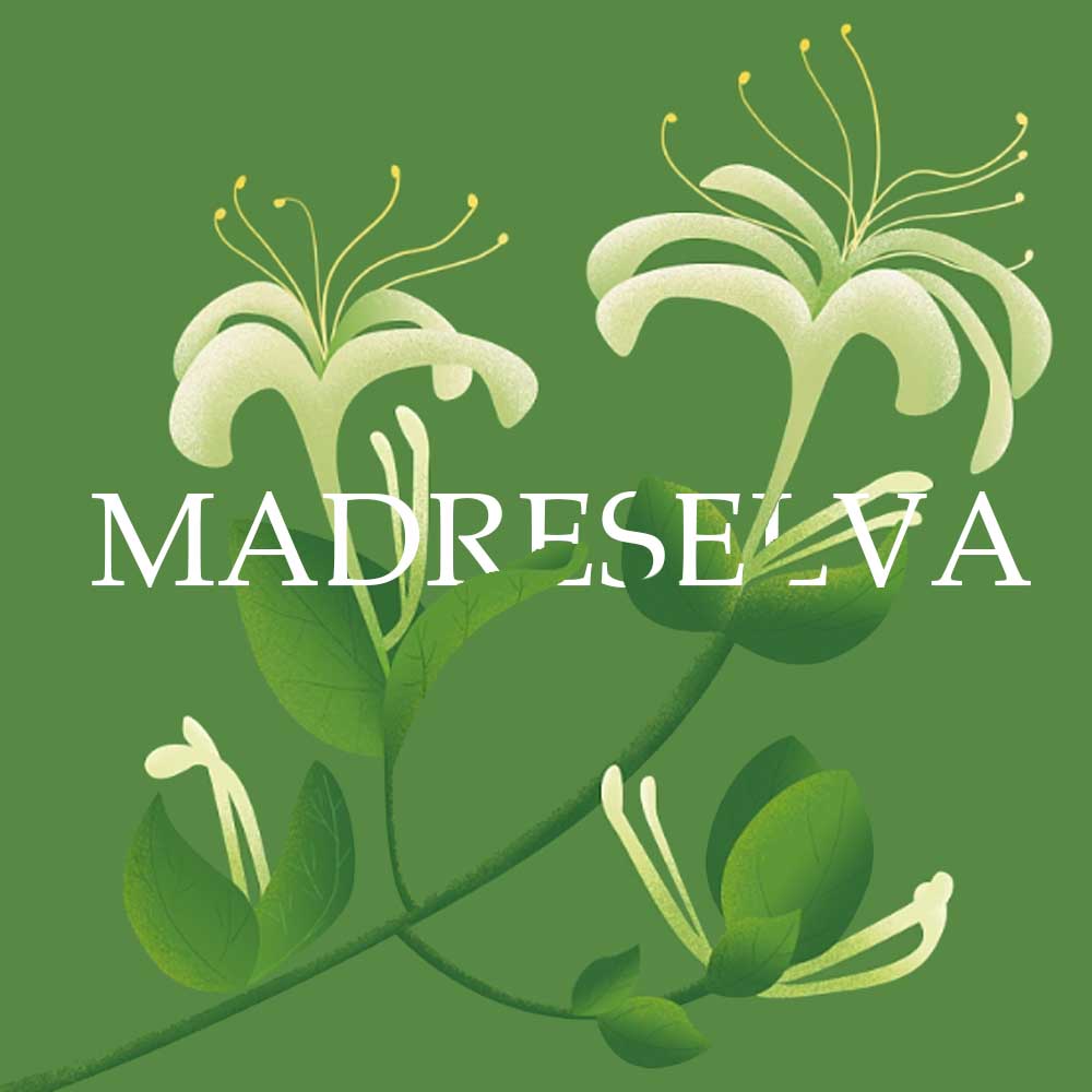 madreselva